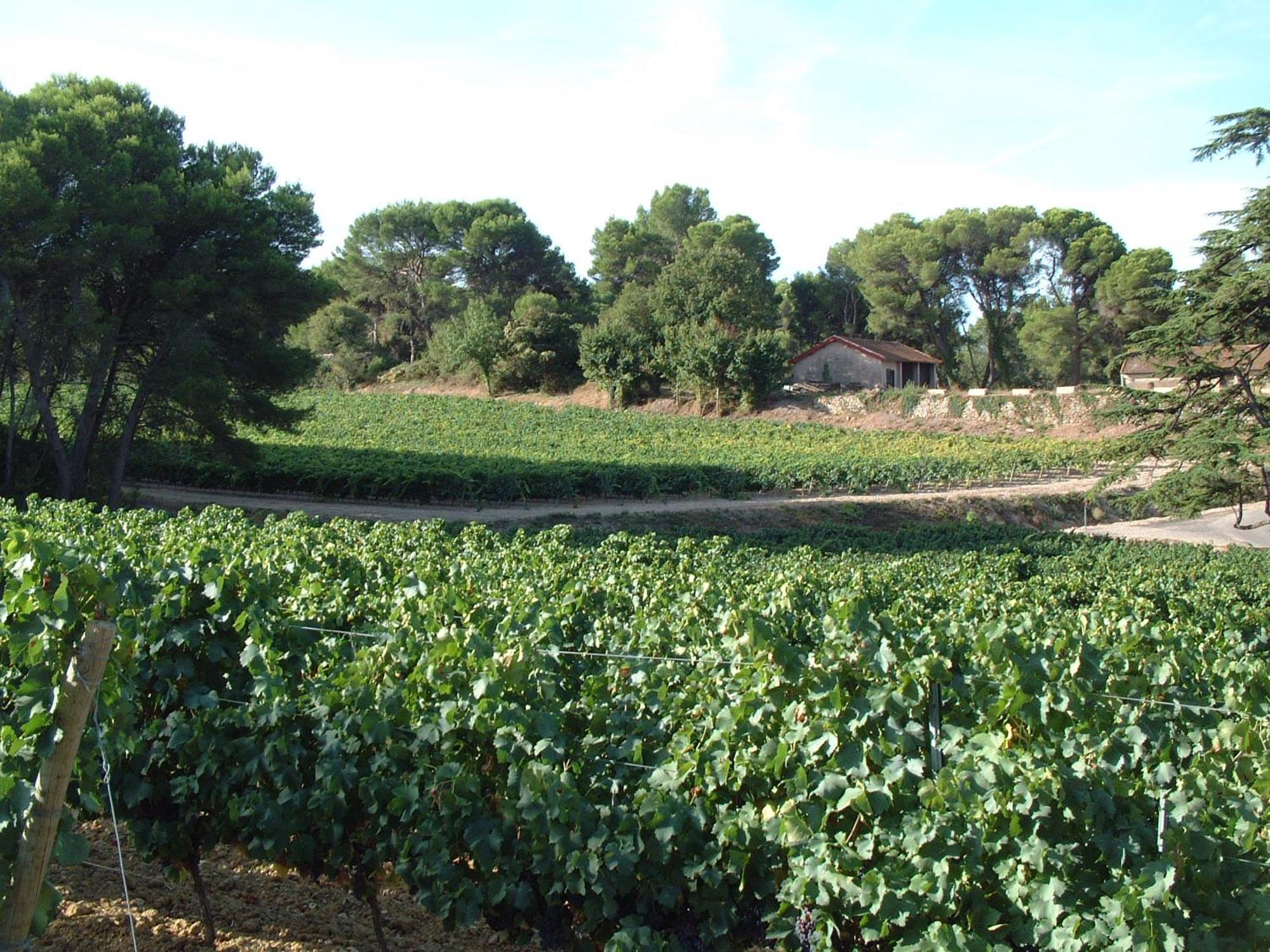 Chateau Saint Martin De Graves Aumes Bagian luar foto