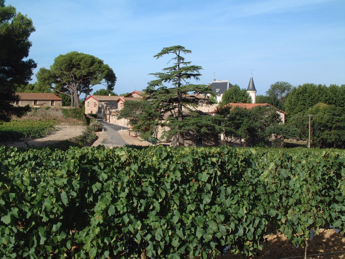 Chateau Saint Martin De Graves Aumes Bagian luar foto