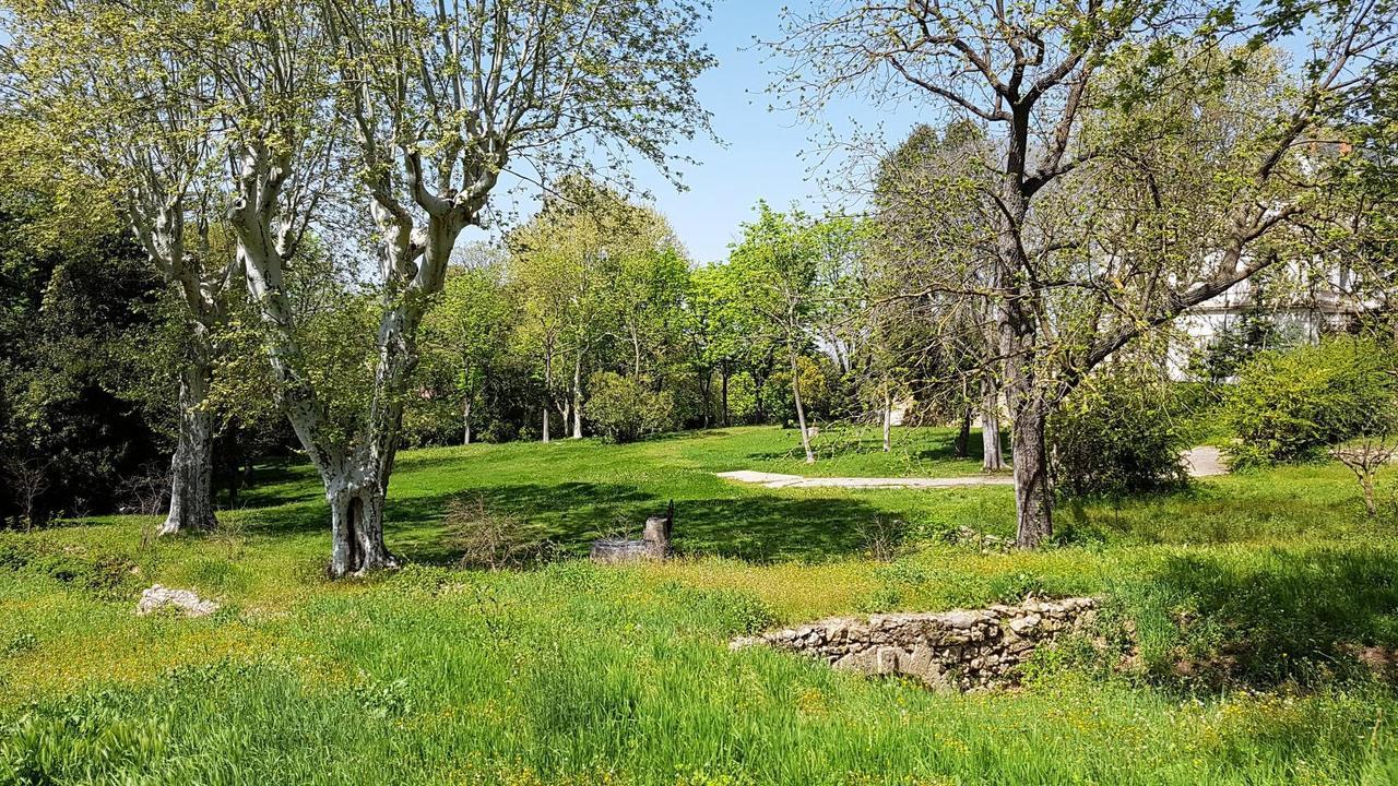 Chateau Saint Martin De Graves Aumes Bagian luar foto