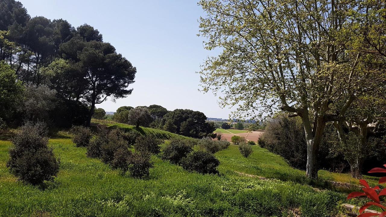 Chateau Saint Martin De Graves Aumes Bagian luar foto